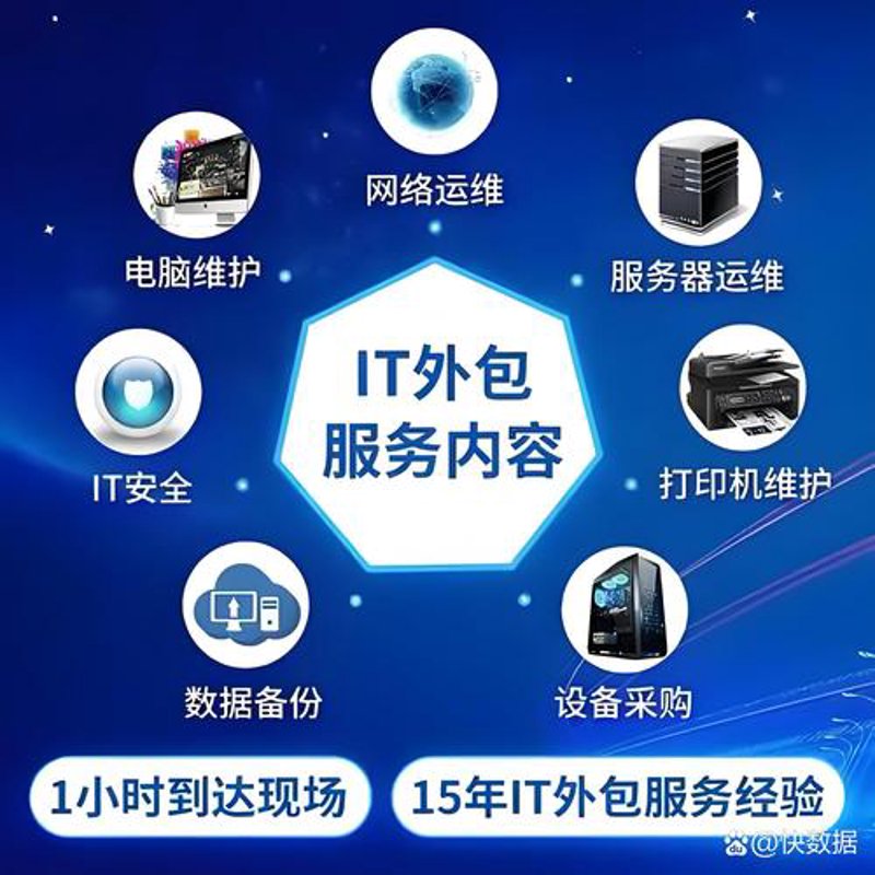 成都软件开发公司的案例分析:构建高效数字解决方案